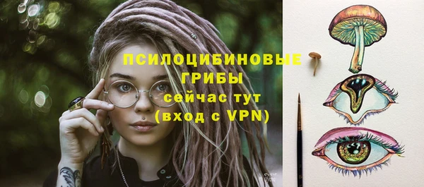 хмурый Краснотурьинск