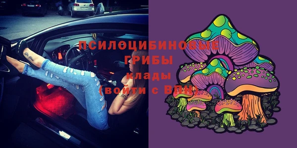 ПСИЛОЦИБИНОВЫЕ ГРИБЫ Абдулино