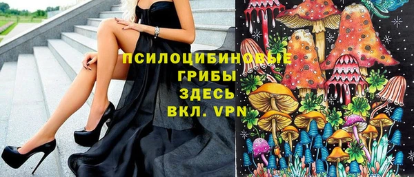ПСИЛОЦИБИНОВЫЕ ГРИБЫ Абдулино