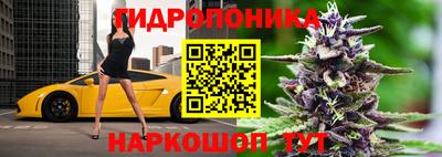 сатива Усть-Джегута