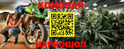 шишки Усть-Илимск