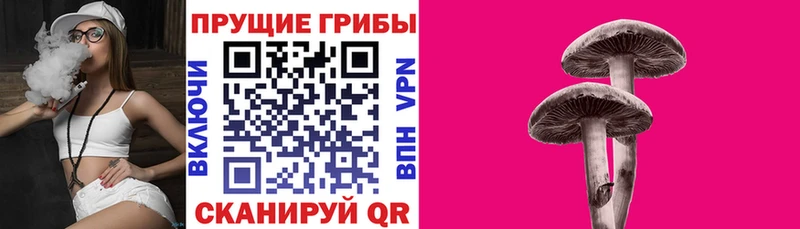 Псилоцибиновые грибы Cubensis  наркотики  Смоленск 