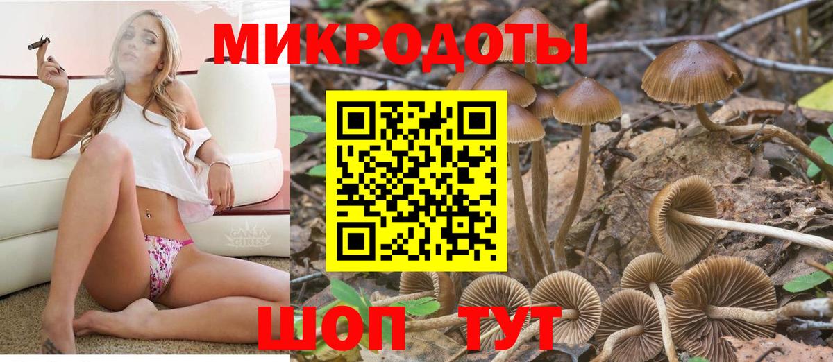 Псилоцибиновые грибы ЛСД  Вход с VPN  Смоленск  Псилоцибиновые грибы Psilocybe 