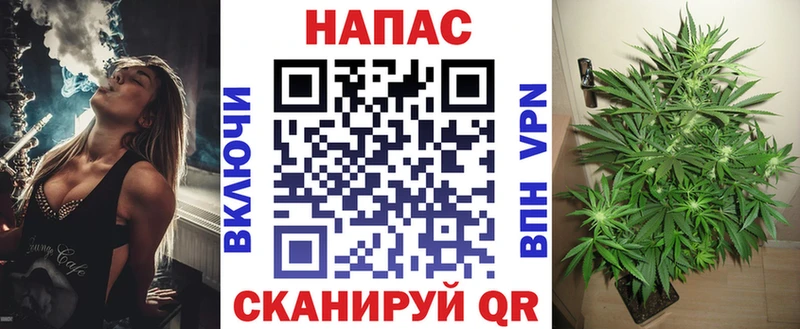 как найти закладки  Смоленск  Конопля ГИДРОПОН 